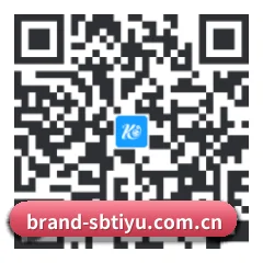iPhone 专版 二维码